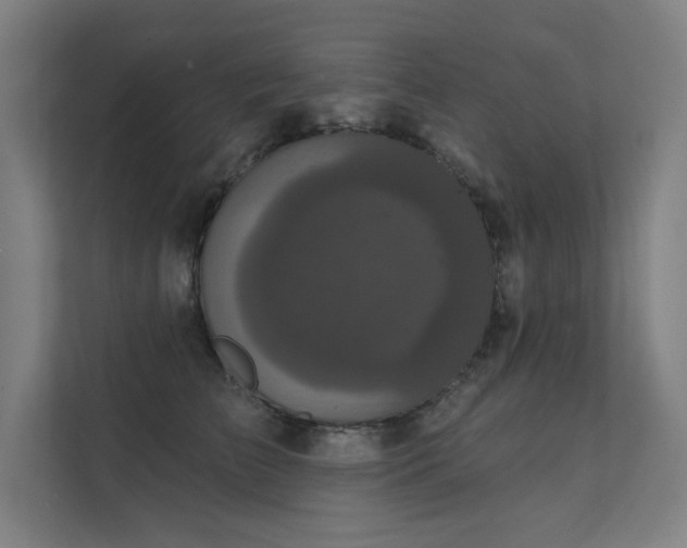 X0000112000709200908101322