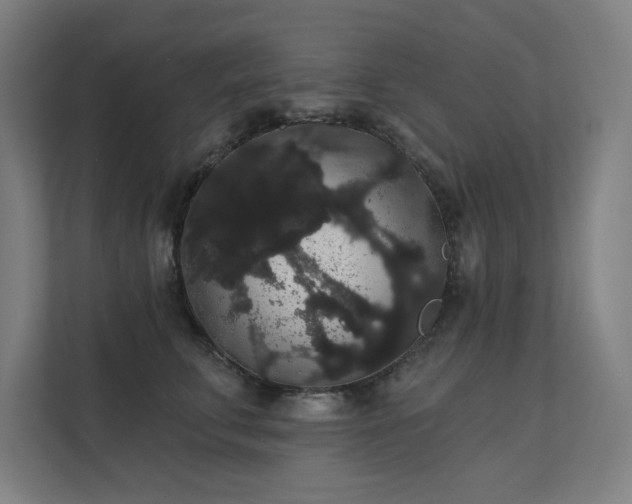 X0000112000711200908101322