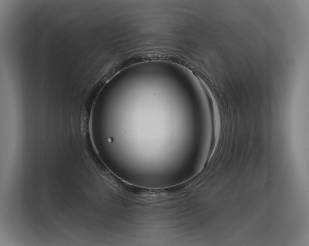 X0000112000712200908101322