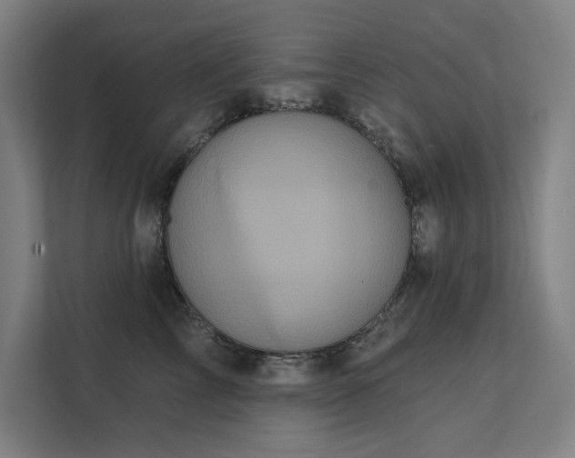 X0000112000713200908101322