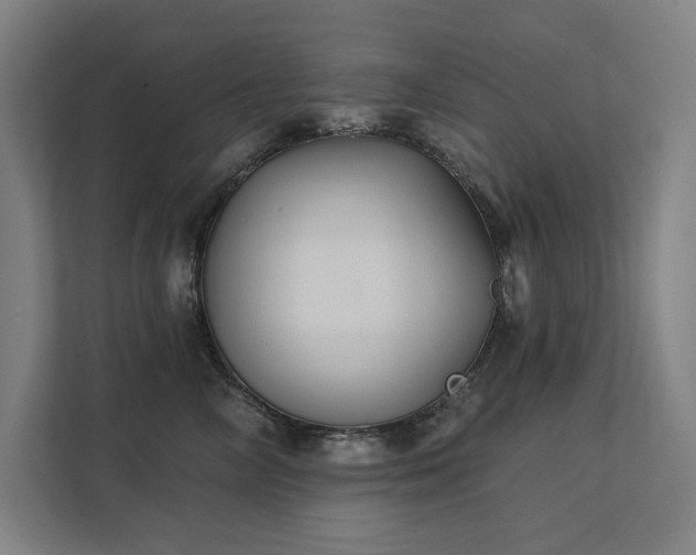 X0000112000714200908101322