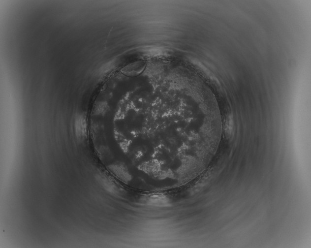 X0000112000715200908101322