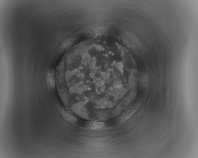 X0000112000719200908101322