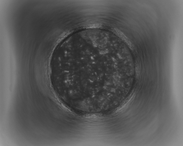 X0000112000721200908101321