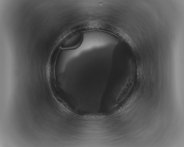 X0000112000722200908101321