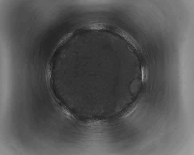 X0000112000723200908101321