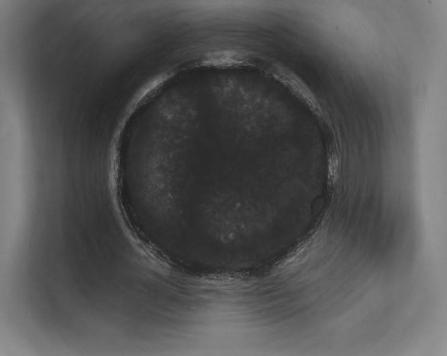 X0000112000724200908101321