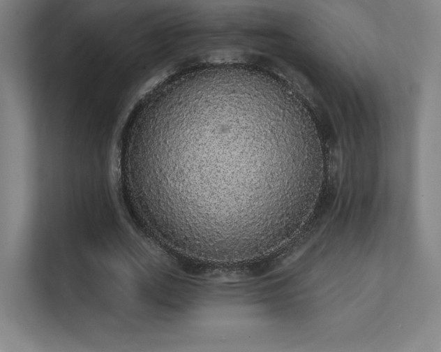 X0000112000727200908101321