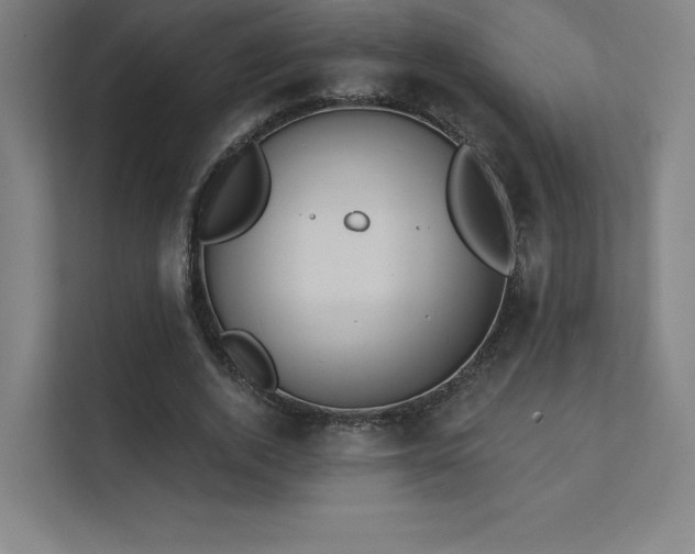 X0000112000728200908101321