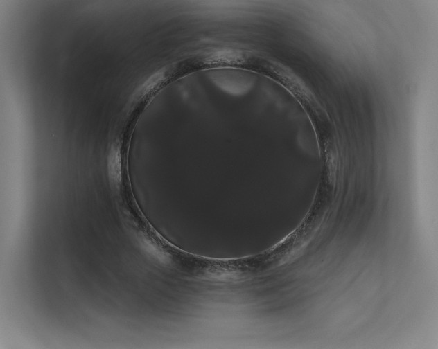 X0000112000729200908101321