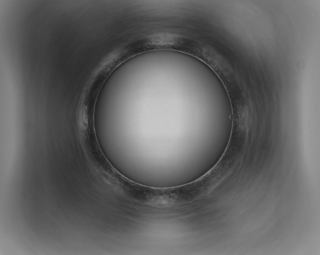 X0000112000731200908101321