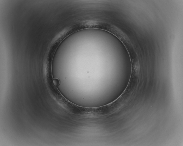 X0000112000732200908101321