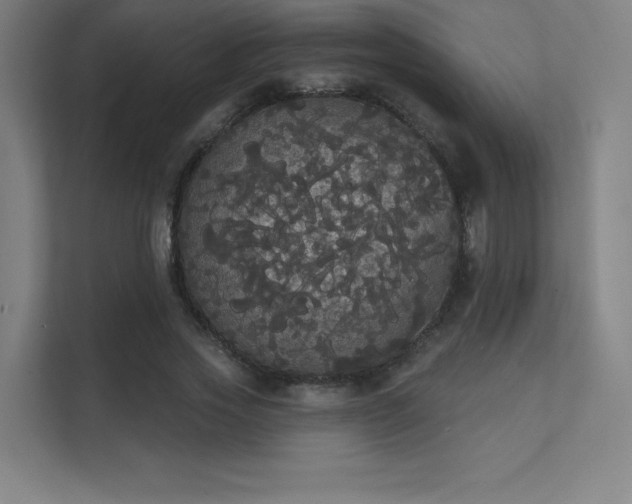 X0000112000733200908101321