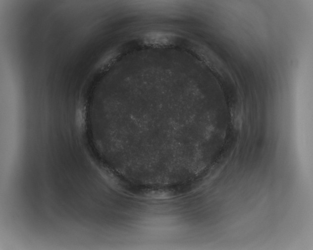 X0000112000735200908101321