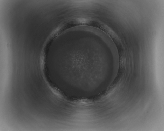 X0000112000736200908101321