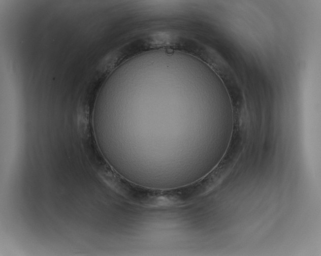 X0000112000737200908101321