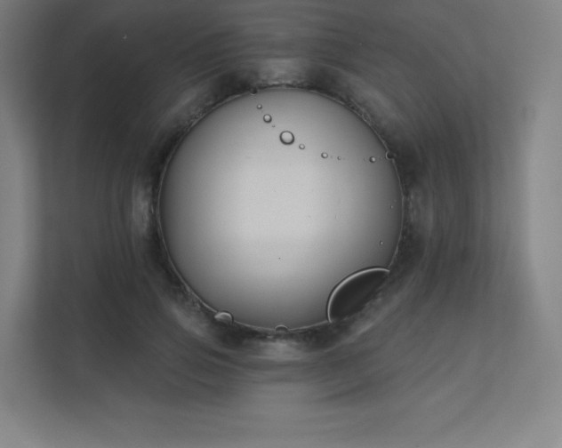 X0000112000741200908101321