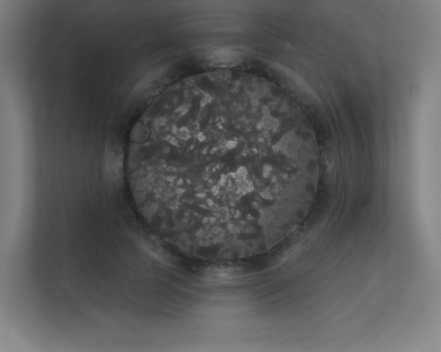 X0000112000745200908101322