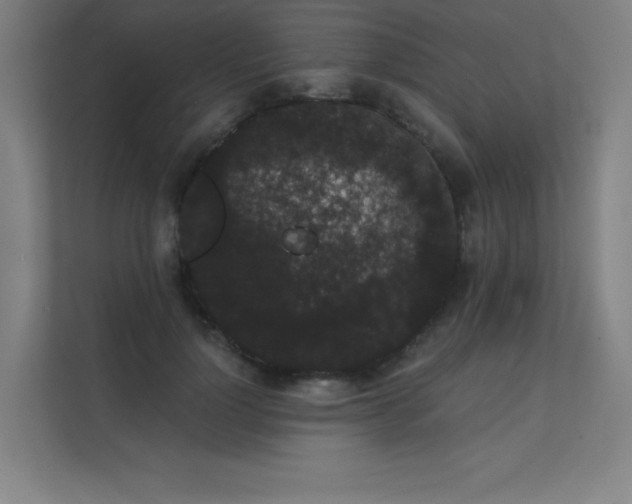 X0000112000748200908101322