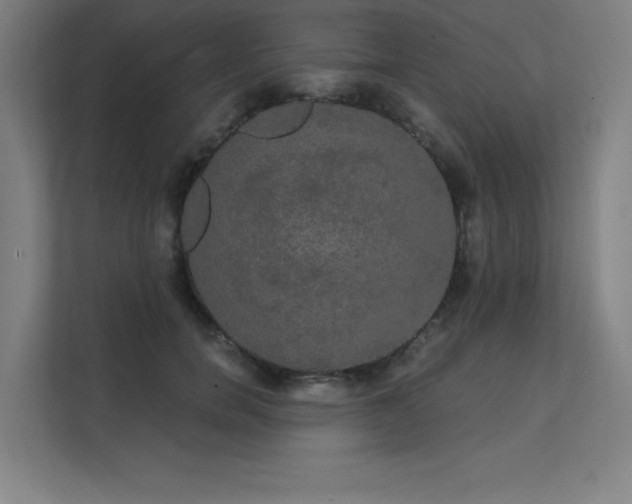 X0000112000750200908101322