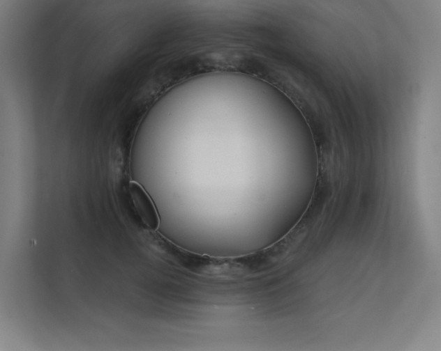 X0000112000752200908101322