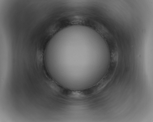 X0000112000753200908101322