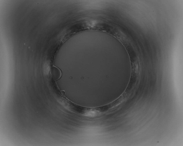 X0000112000754200908101322