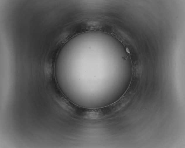 X0000112000756200908101322