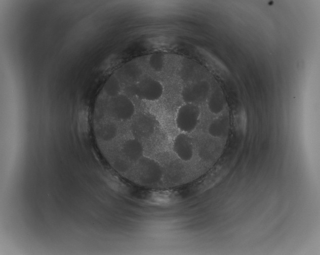 X0000112000757200908101322