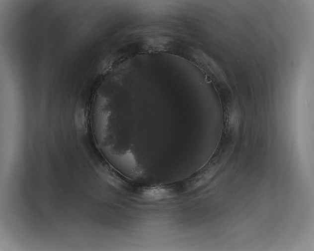 X0000112000759200908101322