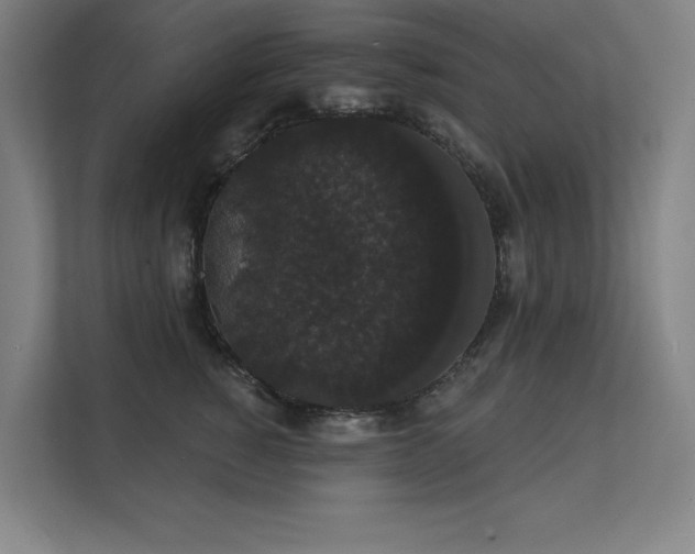 X0000112000760200908101322