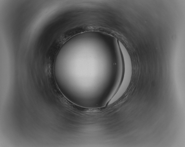 X0000112000762200908101322