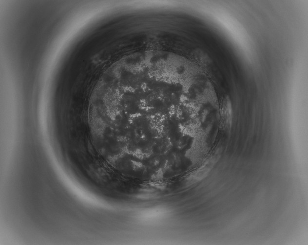 X0000112000765200908101322