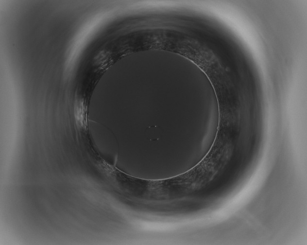 X0000112000766200908101322