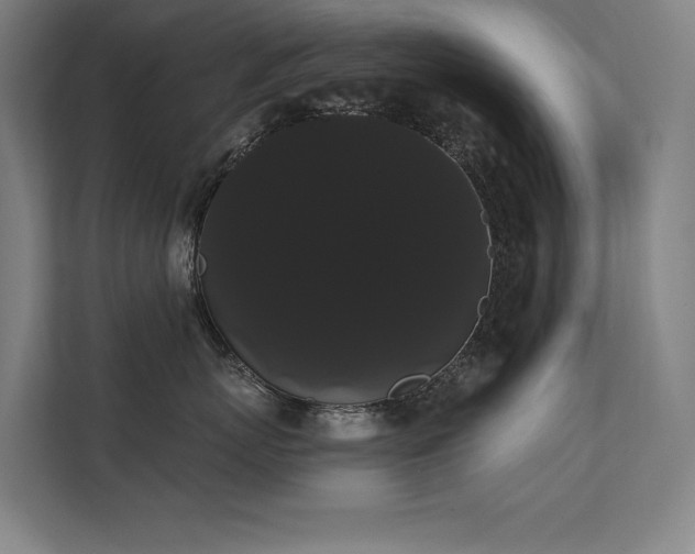 X0000112000767200908101322