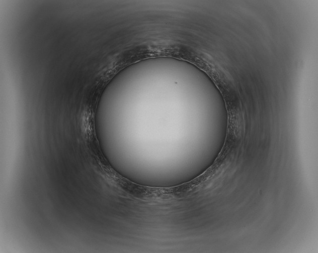 X0000112000770200908101321