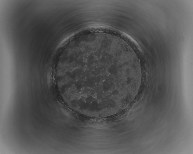 X0000112000775200908101321