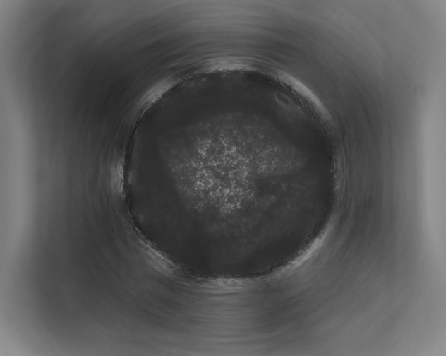 X0000112000777200908101321