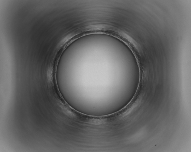 X0000112000778200908101321