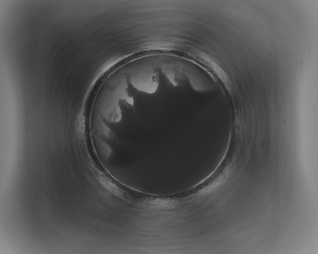 X0000112000779200908101321