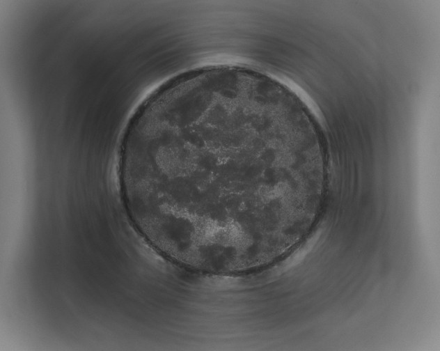 X0000112000783200908101321