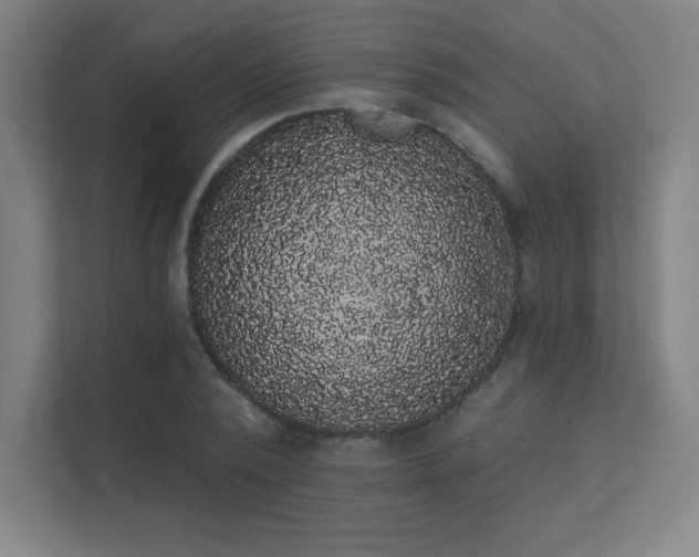 X0000112000784200908101321