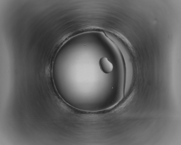 X0000112000785200908101321