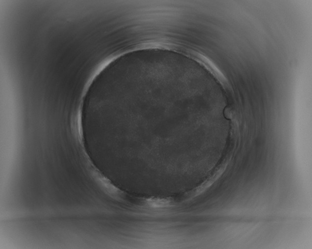 X0000112000788200908101321