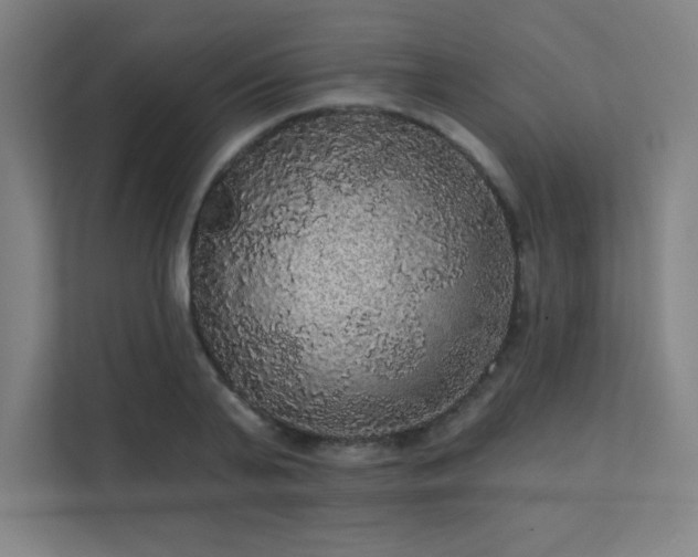 X0000112000791200908101321