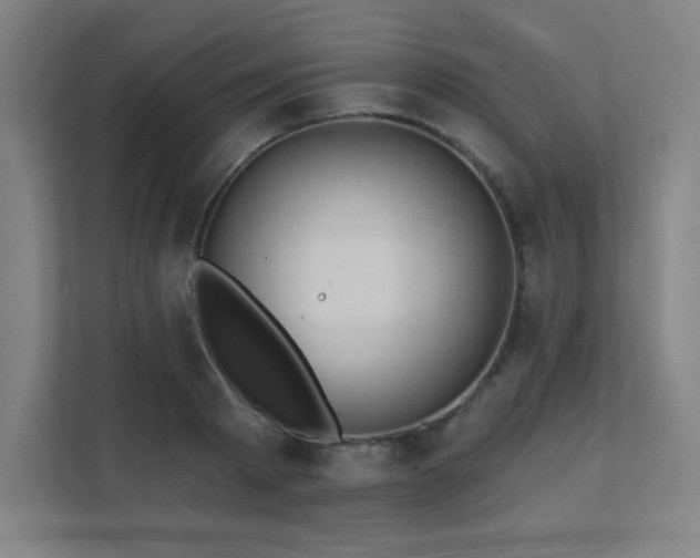 X0000112000793200908101321