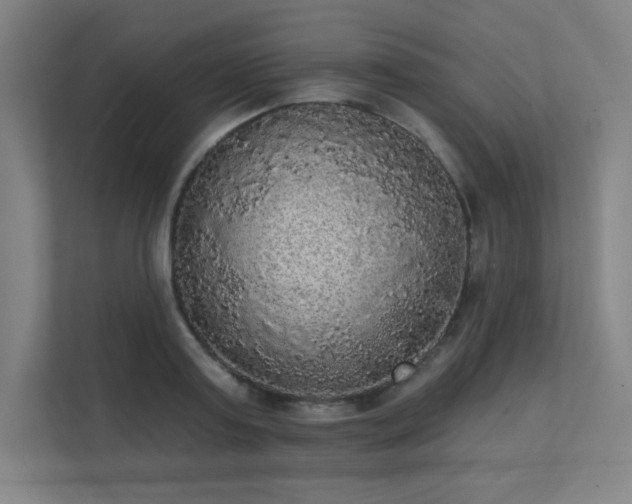 X0000112000795200908101321