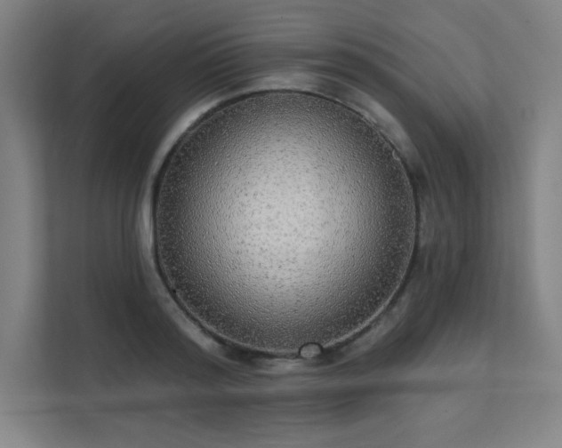 X0000112000796200908101321