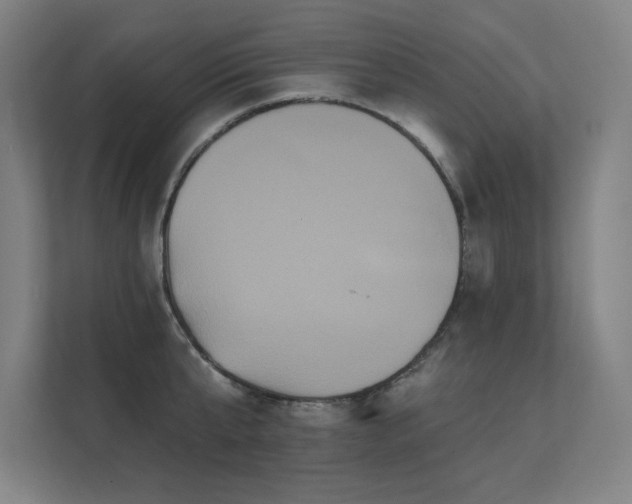 X0000112000807200908101321