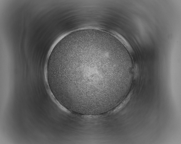 X0000112000812200908101321